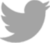 Twitter logo 2